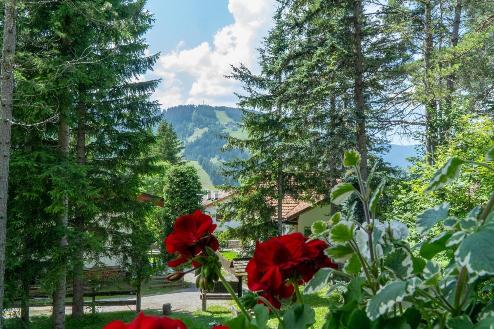 B&B Villa La Bercia Сан-Віджиліо-ді-Мареббе Екстер'єр фото